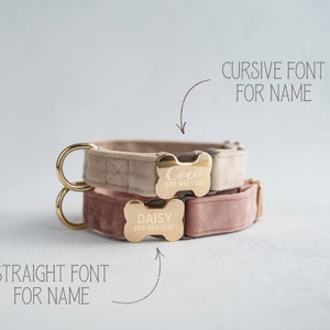 May include: Two dog collars with gold bone-shaped tags. The top collar is beige with the name "Coco" and phone number "888-452-7381" engraved on the tag. The bottom collar is pink with the name "Daisy" and phone number "888-452-7381" engraved on the tag. The top tag has a cursive font and the bottom tag has a straight font.
