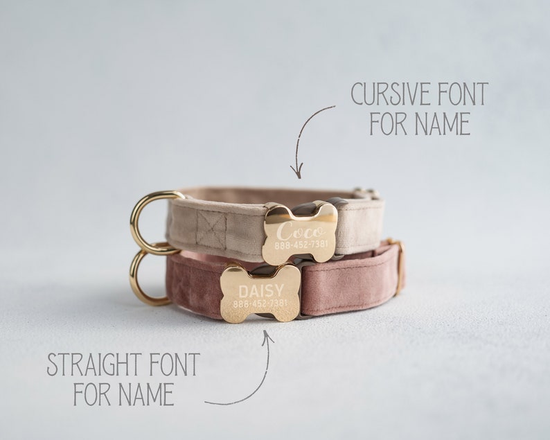 May include: Two dog collars with gold bone-shaped tags. The top collar is beige with the name "Coco" and phone number "888-452-7381" engraved on the tag. The bottom collar is pink with the name "Daisy" and phone number "888-452-7381" engraved on the tag. The top tag has a cursive font and the bottom tag has a straight font.