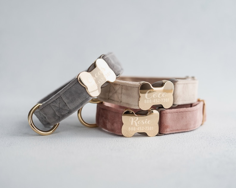 May include: Three dog collars with gold bone-shaped name tags. The collars are gray, beige, and pink velvet. The name tags are engraved with the names "Coco", "Rosie", and phone numbers.