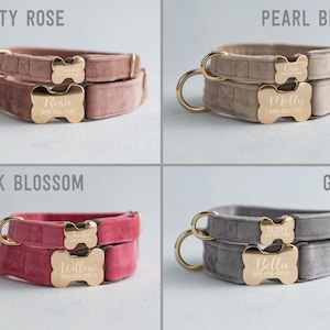 May include: Four velvet dog collars in different colors: dusty rose, pearl beige, pink blossom, and gray. Each collar has two gold bone-shaped tags with engraved names and phone numbers.
