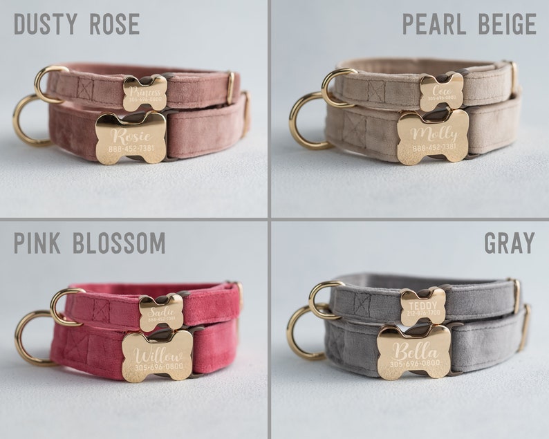 May include: Four velvet dog collars in different colors: dusty rose, pearl beige, pink blossom, and gray. Each collar has two gold bone-shaped tags with engraved names and phone numbers.