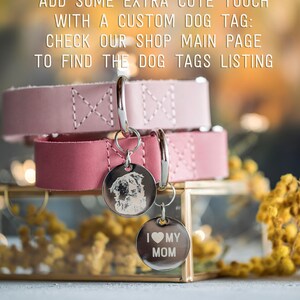 Leather dog collar, Personalized dog collar, Personalized leather dog collar, cat collar, leather cat collar, personalized cat collar image 9