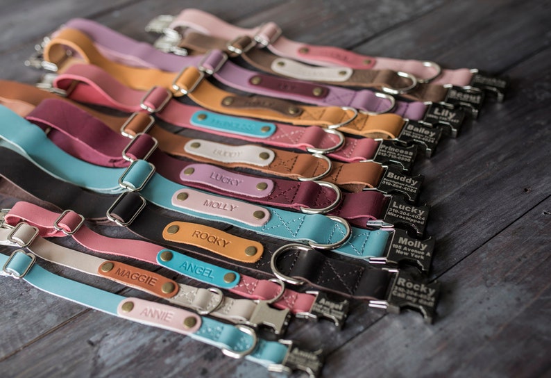 Leather dog collar, Personalized dog collar, dog collar, leather, FREE MACHINE ENGRV buckle, personalized leather dog collar personalized 