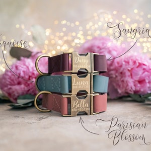 Dog collar Leather, dog collar personalized, dog collar girl, dog collar boy, dog collar with ANTI-BRASS color buckle leather RUSTIC buckle image 3