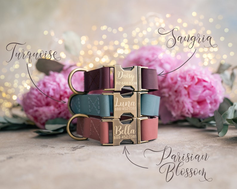 Dog collar Leather, dog collar personalized, dog collar girl, dog collar boy, dog collar with ANTI-BRASS color buckle leather RUSTIC buckle image 3