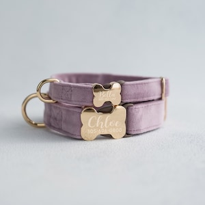 May include: Two pink velvet dog collars with gold bone-shaped tags. The top tag reads "Bella 555-433-3381" and the bottom tag reads "Chloe 305-896-0800".
