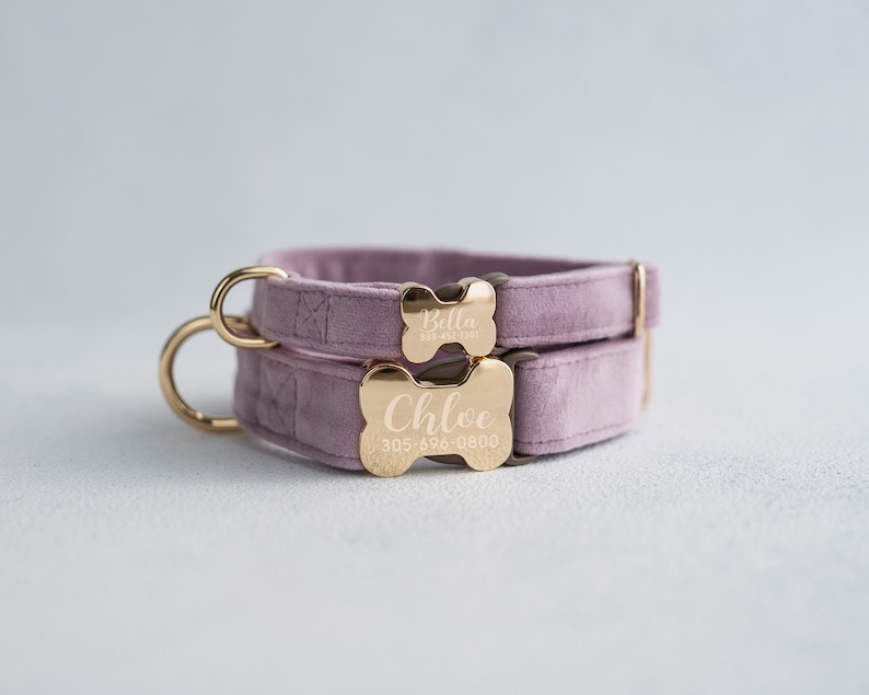 May include: Two pink velvet dog collars with gold bone-shaped tags. The top tag reads "Bella 555-433-3381" and the bottom tag reads "Chloe 305-896-0800".