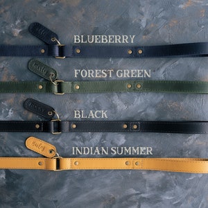 May include: Four leather dog leashes in different colors: blueberry, forest green, black, and indian summer. Each leash has a metal buckle and a small leather tag with a name on it.