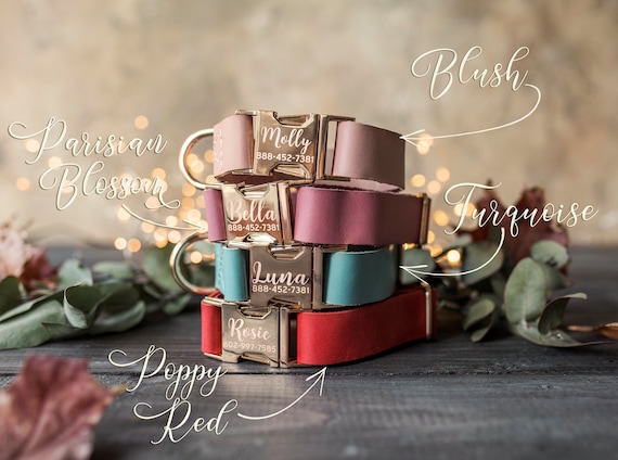 Gold leather dog collar, Personalized dog collar, Personalized leather dog collar, cat collar, leather cat collar, personalized collar