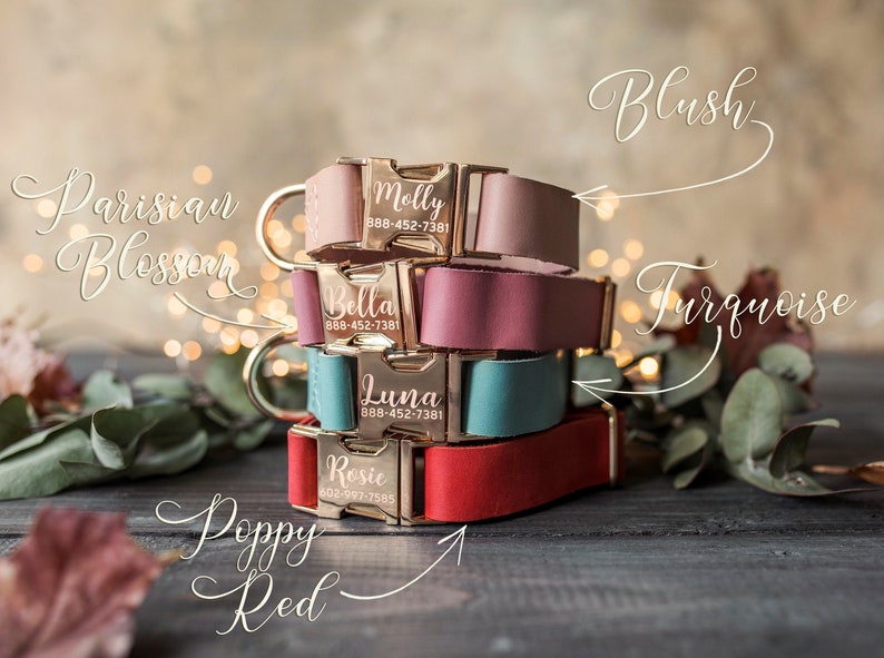 K&ouml;nnte beinhalten: Stapel von vier personalisierten Lederhundehalsb&auml;ndern in verschiedenen Farben: Blush, T&uuml;rkis, Pariser Bl&uuml;te und Mohnrot. Jedes Halsband hat eine goldene Schnalle mit einem eingravierten Namen und einer Telefonnummer.