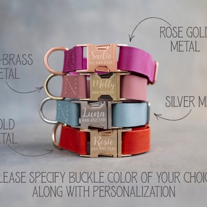 Dog collar leather, dog collar personalized, dog collar girl, dog collar boy, dog collar engraved, dog collar with choose your color buckle image 2