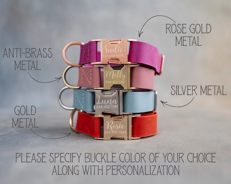 Dog collar leather, dog collar personalized, dog collar girl, dog collar boy, dog collar engraved, dog collar with choose your color buckle image 2