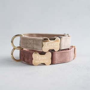 May include: Two dog collars with gold bone-shaped name tags. The top collar is beige velvet with the name "Coco" and phone number "888-452-7381" engraved on the tag. The bottom collar is pink velvet with the name "Rosie" and phone number "888-452-7381" engraved on the tag.