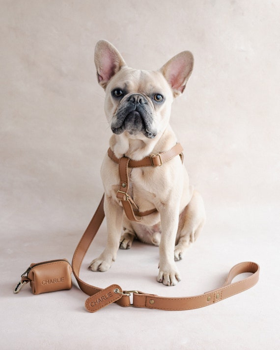 Dog harness, dog collar alternative, leather dog harness, cat harness, dog wear, dog accessories, dog gift, dog birthday gift, personalized