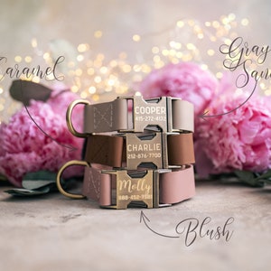 Dog collar Leather, dog collar personalized, dog collar girl, dog collar boy, dog collar with ANTI-BRASS color buckle leather RUSTIC buckle image 2