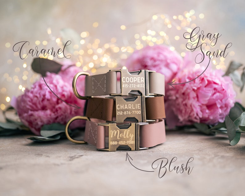 Dog collar Leather, dog collar personalized, dog collar girl, dog collar boy, dog collar with ANTI-BRASS color buckle leather RUSTIC buckle zdjęcie 2