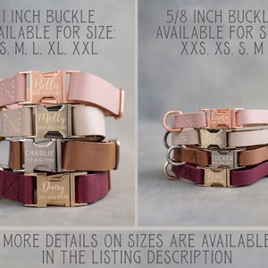 Dog collar leather, dog collar personalized, dog collar girl, dog collar boy, dog collar engraved, dog collar with choose your color buckle image 3
