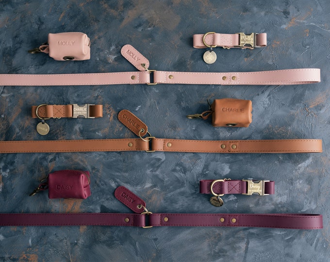 Rustic Hardware Dog Leash Leather Dog Leash Rustic Lobster Clasp Dog