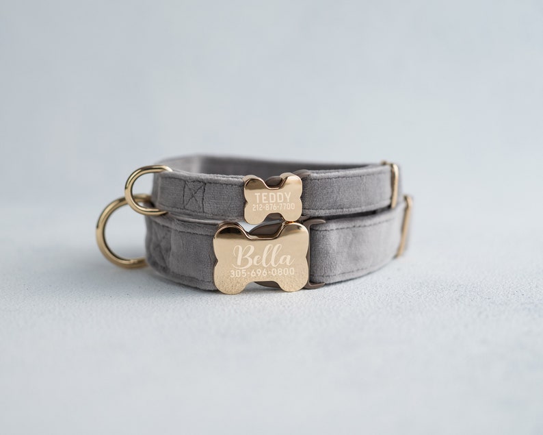May include: Two gray velvet dog collars with gold bone-shaped tags. The top tag reads "Teddy 212-826-7700" and the bottom tag reads "Bella 305-696-0800".
