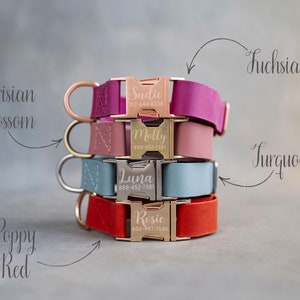 Hundehalsband Leder, Hundehalsband personalisiert, Hundehalsband Mädchen, Hundehalsband Junge, Hundehalsband graviert, Hundehalsband mit wählen Sie Ihre Farbe Schnalle Bild 6