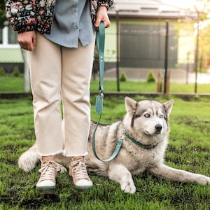 May include: A person in a floral patterned jacket and white pants walks a grey and white husky dog on a green leash. The dog is lying down on the grass.
