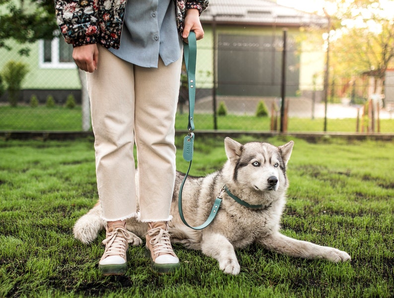 May include: A person in a floral patterned jacket and white pants walks a grey and white husky dog on a green leash. The dog is lying down on the grass.