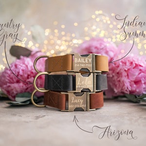 Dog collar Leather, dog collar personalized, dog collar girl, dog collar boy, dog collar with ANTI-BRASS color buckle leather RUSTIC buckle image 4