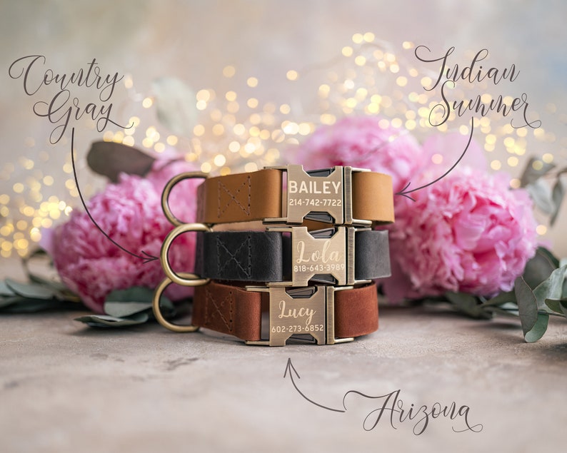 Dog collar Leather, dog collar personalized, dog collar girl, dog collar boy, dog collar with ANTI-BRASS color buckle leather RUSTIC buckle zdjęcie 4