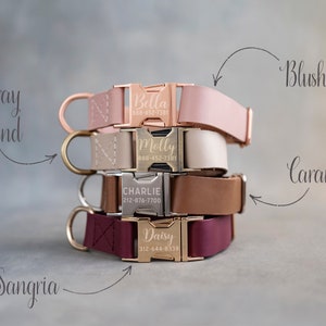 Dog collar leather, dog collar personalized, dog collar girl, dog collar boy, dog collar engraved, dog collar with choose your color buckle image 7