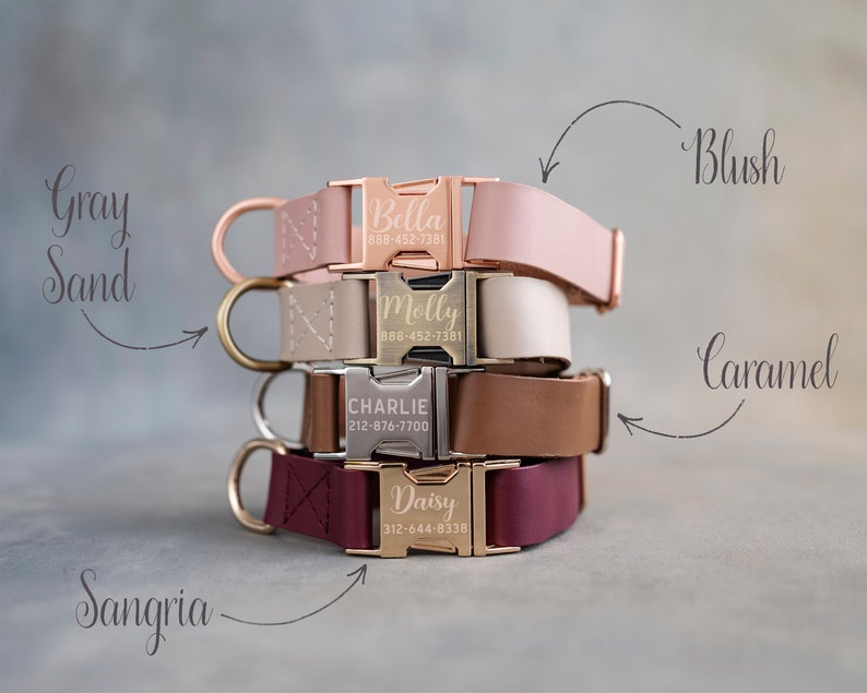 Dog collar leather, dog collar personalized, dog collar girl, dog collar boy, dog collar engraved, dog collar with choose your color buckle image 7