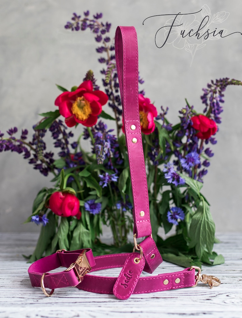 Gold Hardware Dog Leash Leather Dog Leash Gold Lobster Clasp Etsy