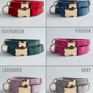 May include: Ten different color velvet dog collars with gold bone-shaped name tags. The collars are shown in the colors festive red, evergreen, lavender, blue, fuchsia, and gray. Each tag has a name and phone number engraved on it.