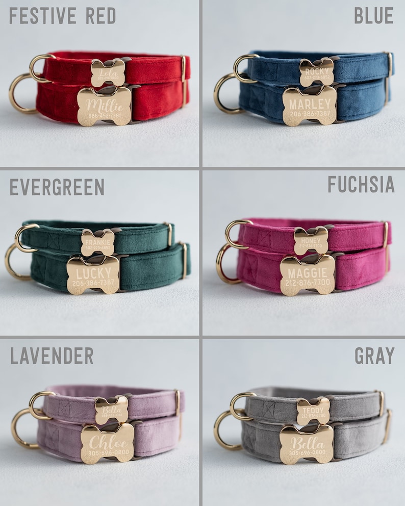 May include: Ten different color velvet dog collars with gold bone-shaped name tags. The collars are shown in the colors festive red, evergreen, lavender, blue, fuchsia, and gray. Each tag has a name and phone number engraved on it.