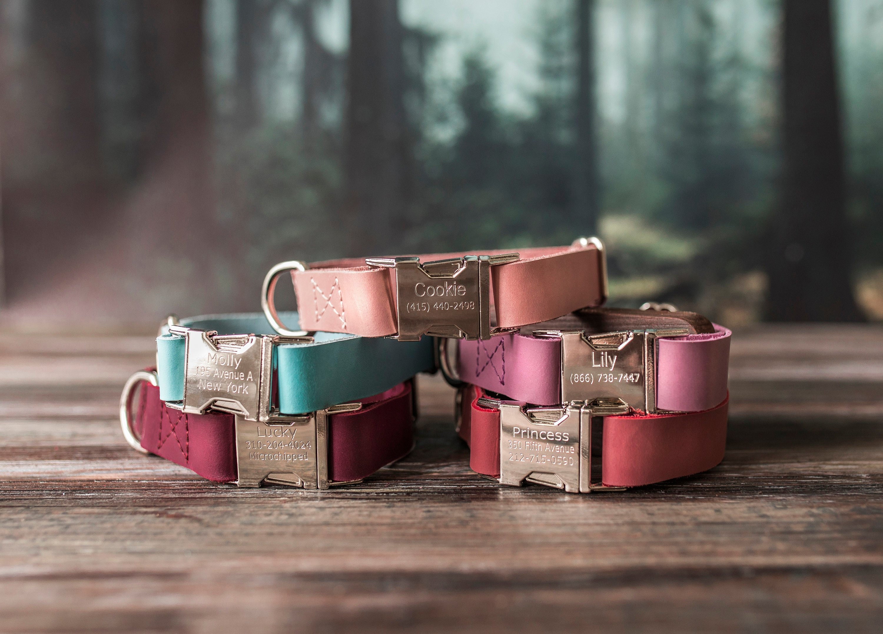 etsy personalized dog collar