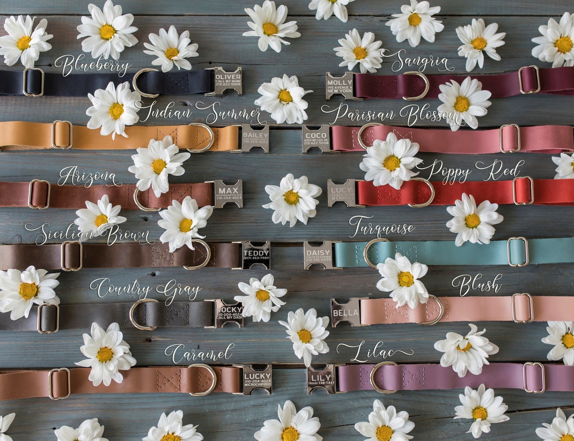 Engraved Leather Dog Collar Personalized Dog Collar - Etsy