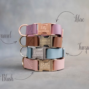 Dog collar leather, dog collar personalized, dog collar girl, dog collar boy, dog collar engraved, dog collar with choose your color buckle image 5