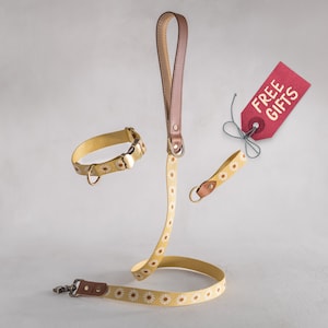 Webbing dog collar personalized, dog collar boy, dog collar girl, dog collar engraved, tribal dog collar, pattern dog collar, 1 width image 8