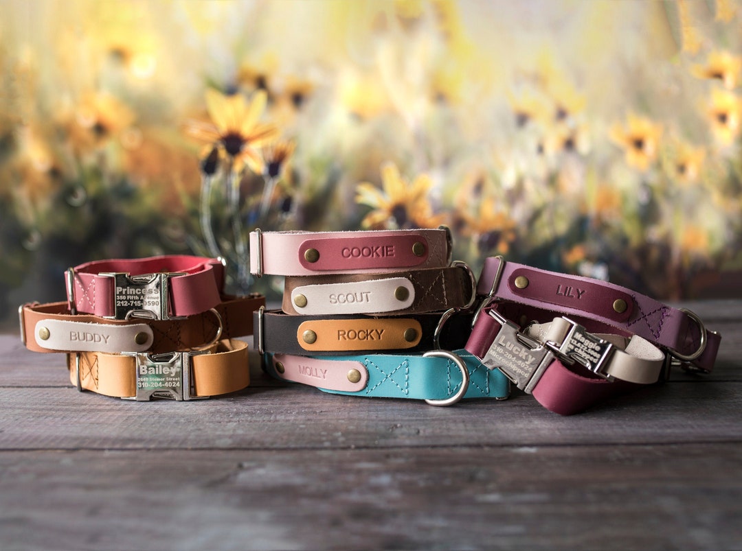 Engraved Leather Dog Collar, Personalized Dog Collar, Dog Collar ...