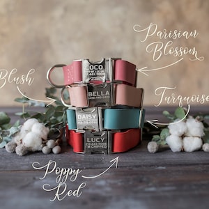 Gravur Leder Hundehalsband, Personalisiertes Hundehalsband, Personalisiertes Leder Hundehalsband, Katzenhalsband, Leder Katzenhalsband, personalisiertes Halsband Bild 5