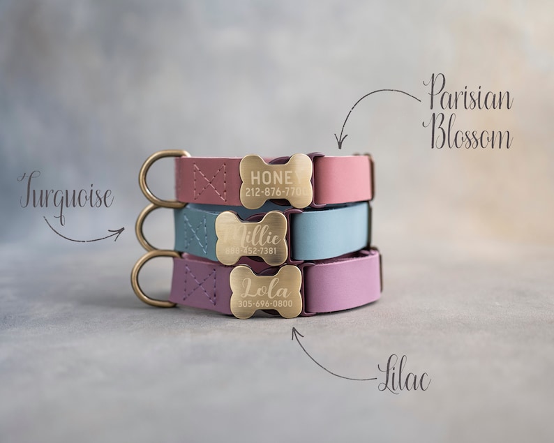 Hundehalsband Leder, Hundehalsband personalisiert, Hundehalsband Mädchen, Hundehalsband Junge, Hundehalsband graviert, Hundehalsband mit knochenförmiger Schnalle Bild 9