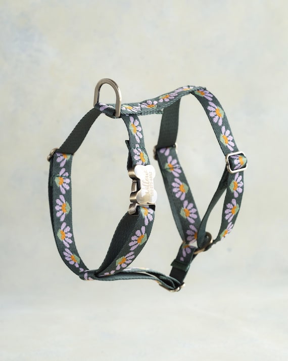 Personalized webbing dog harness, cat harness, dog wear, dog accessories, dog gift, dog birthday gift