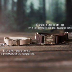 K&ouml;nnte beinhalten: Zwei Lederhundehalsb&auml;nder mit personalisierten, gravierten Metalletiketten. Das obere Halsband ist 2,5 cm breit und das untere Halsband ist 1,6 cm breit. Das obere Etikett lautet "Rocky 310-204-4024 Ruf meinen Vater an!" und das untere Etikett lautet "Maggie 113-833-2003".