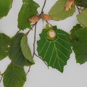 A tiny baby doll in a Hazel leaf, cobnut, hazelnuts, Waldorf image 1