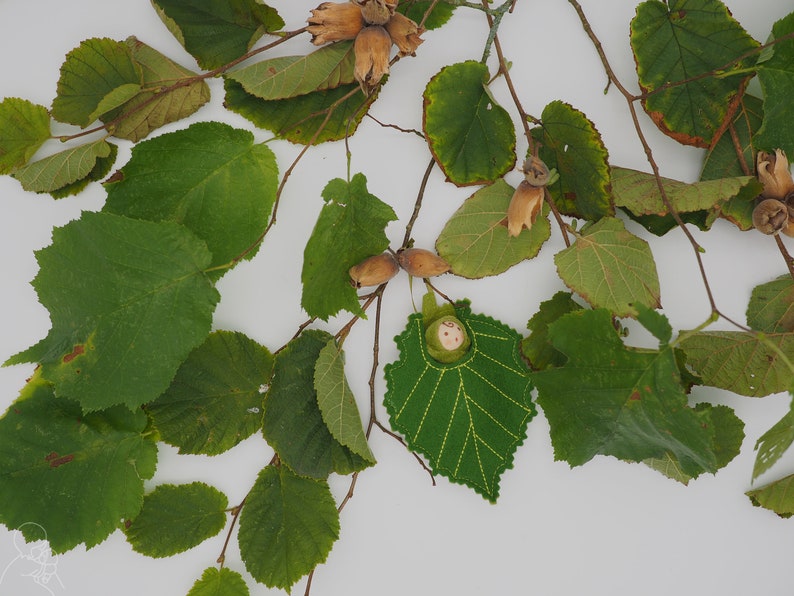 A tiny baby doll in a Hazel leaf, cobnut, hazelnuts, Waldorf image 1