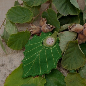 A tiny baby doll in a Hazel leaf, cobnut, hazelnuts, Waldorf image 6