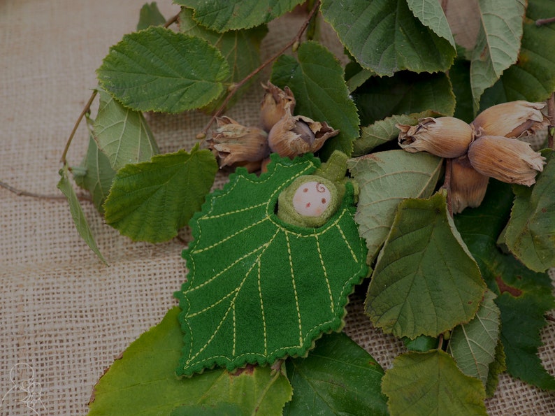 A tiny baby doll in a Hazel leaf, cobnut, hazelnuts, Waldorf image 6