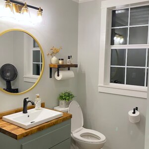Updated bathroom with green cabinet and a paper towel dispenser mounted under shelf with a paper towel roll. There is also a black toilet paper holder, light fixtures, and plants.