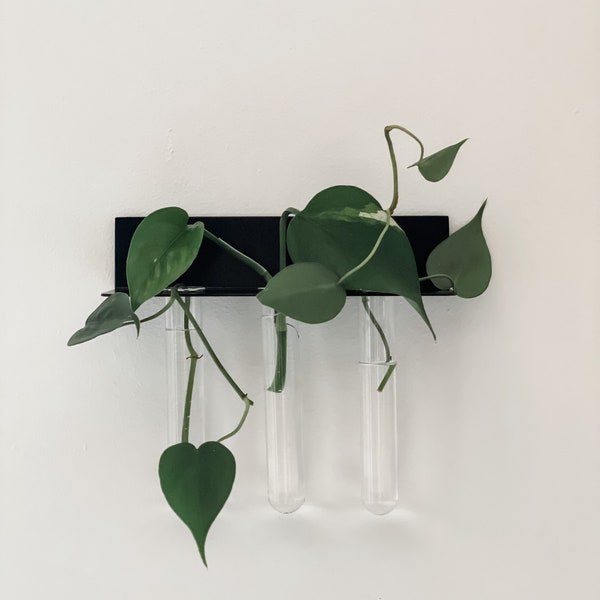 Propagation Station, Indoor Plant Holder, Hanging Wall Vase with Test Tubes