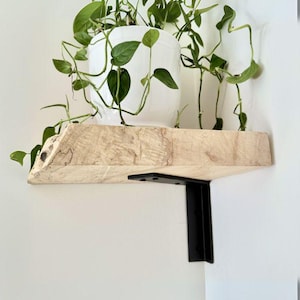 May include: A live plant in a white ceramic pot sits on a natural wood shelf. The shelf is supported by a black metal bracket. The plant has green leaves and vines that cascade down the sides of the pot.