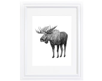 Baby Moose Drawing Etsy